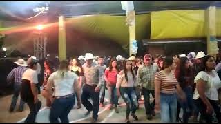 Baile en El Naranjo - Trío Halcón Huasteco De Marte Santana