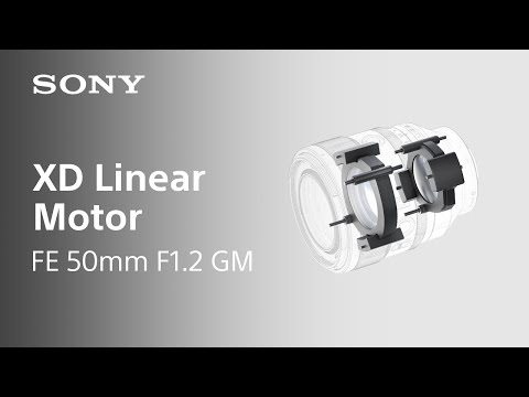 XD Linear Motor | FE 50mm F1.2 GM | Sony | Lens