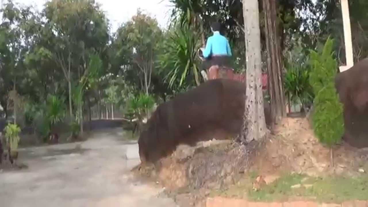 วัดสว่างอารมณ์ (วัดถ้ำศรีธน) อ.ปากคาด จ.บึงกาฬ