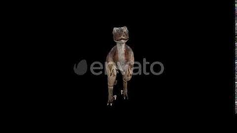 Deinonychus Walk Front View | Motion Graphics - Envato elements