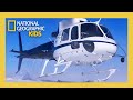 Learn How Helicopters Are Made! 🚁🚨 | Made in a Day Full Episode | @natgeokids