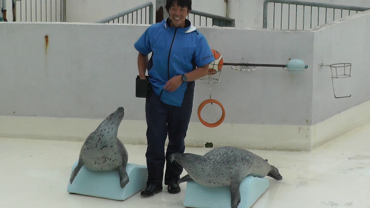 おたる水族館　ショー集(アザラシ、ペンギン、トド、オタリア(アシカ)、バンドウイルカ)