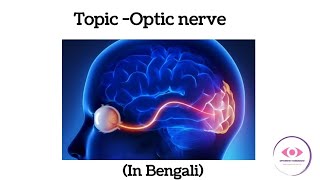 Optic nerve (part 1) #optometrystudent #optometry tomorrow