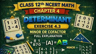 Class 12 Maths Chapter 4 Determinants | Exercise 4.3 Minor and cofactor Full Explanation 🔥