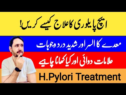 H pylori Treatment