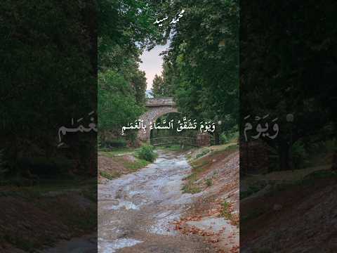 ويوم تشقق السماء بالغمام ونزل الملائكة تنزيلا محمد سيد