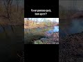 Que penses-tu de ce spot ? #floattuber #fishing #pêche #daiwa #franchecomté