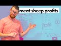 Are Meat Sheep Profitable? Small Scale Sheep Planning