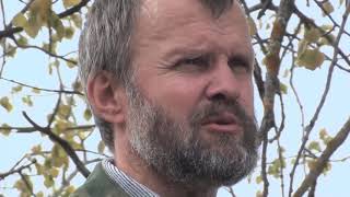 Травовед. Осина. Рассказывает Моряков Сергей Викторович Травовед. Осина. Рассказывает Моряков Сергей Викторович