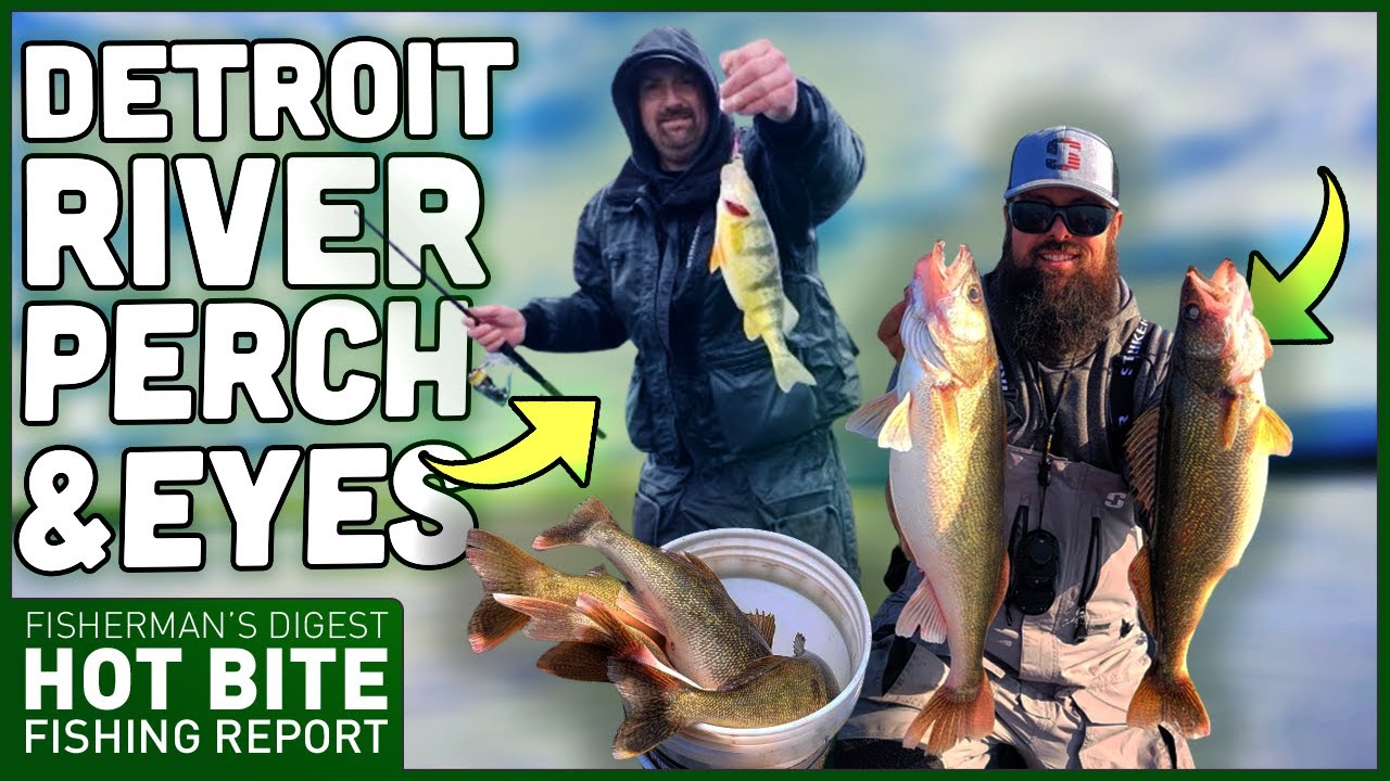 Detroit River Walleye & Perch Fishing Report & Lake Erie Walleye