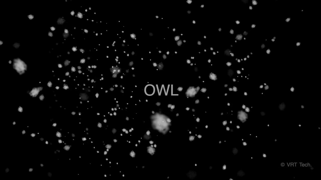 Floating Feathers X1 Viewing Paradigm 120 bpm YouTube