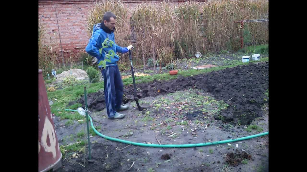 Kopanie ogródka w listopadzie :) http://ciekawerosliny.pl/forum/index