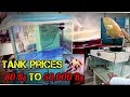 Fish Tank Prices in Kolathur Fish Market