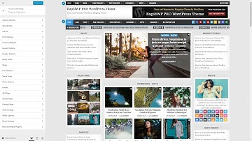 Customizer Theme Options - RapidWP PRO WordPress Theme