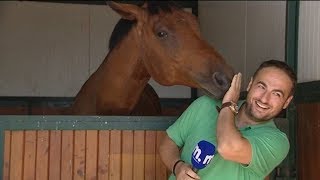Reporter Can't Stop Laughing At Horse