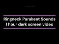 Ringneck Parakeet Sounds - 1 hour dark screen sound effects