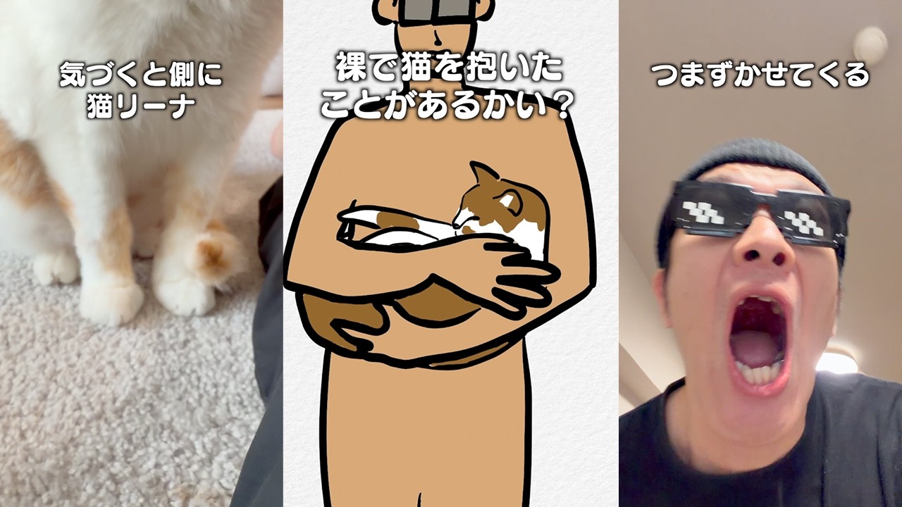 猫飼ってる人にしかワカラナイ６連発