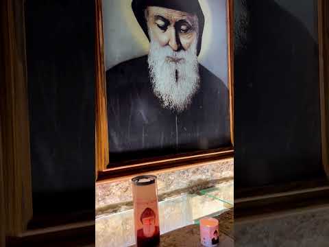 يا شربل صلي عنا