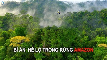 Những Bí Ẩn Kinh Hoàng Cuối Cùng Của Rừng Amazon Được Hé Lộ | Thiên Hà TV