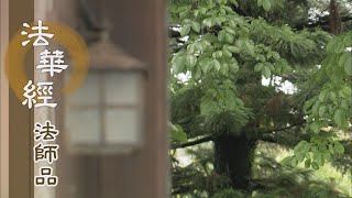 【靜思妙蓮華】法華經法師品 - 應病施藥 說法無畏 - 20220831 第1231集