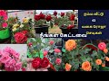 நம்ம வீட்டில் உள்ள 43 வகை ரோஜா செடிகள் | நம்ம வீடு ரோஜா தோட்டம் | 43 variety of rose flowers |