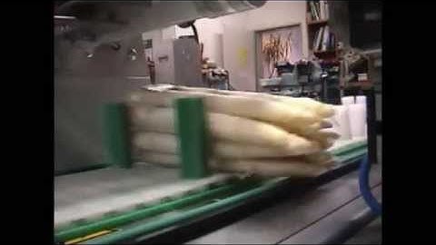 Sroka Asperagus Binding