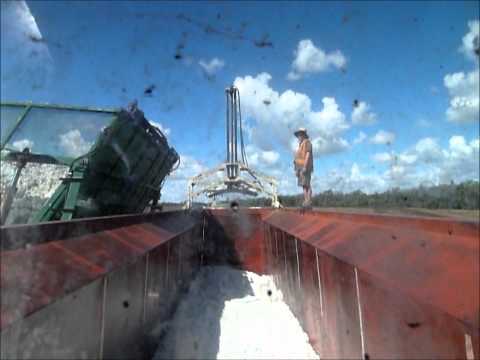 Unloading a Boll Buggy