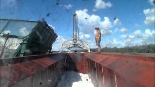 Unloading a Boll Buggy