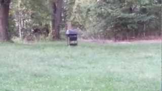 Tannerite vs. Gas Grill