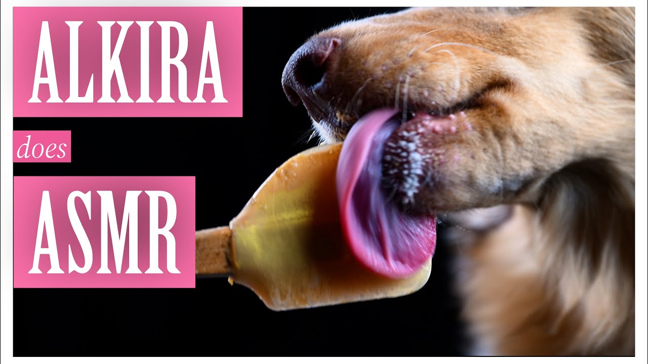 ALKIRA DOES ASMR: LICKING PEANUTBUTTER IN COZY DARK ROOM