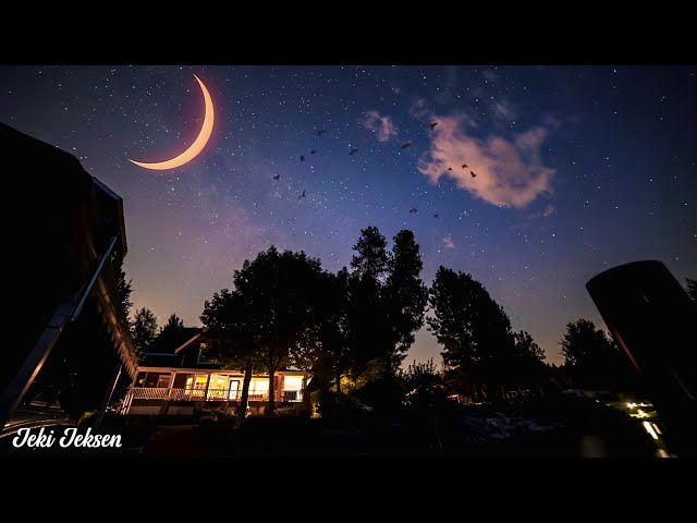 Relaxing Piano Music + Crickets Sounds - Sleep Music, Nature Sounds class=