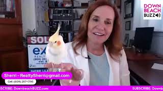 Downbeachbuzz Podcast With Sherri Lilienfeld