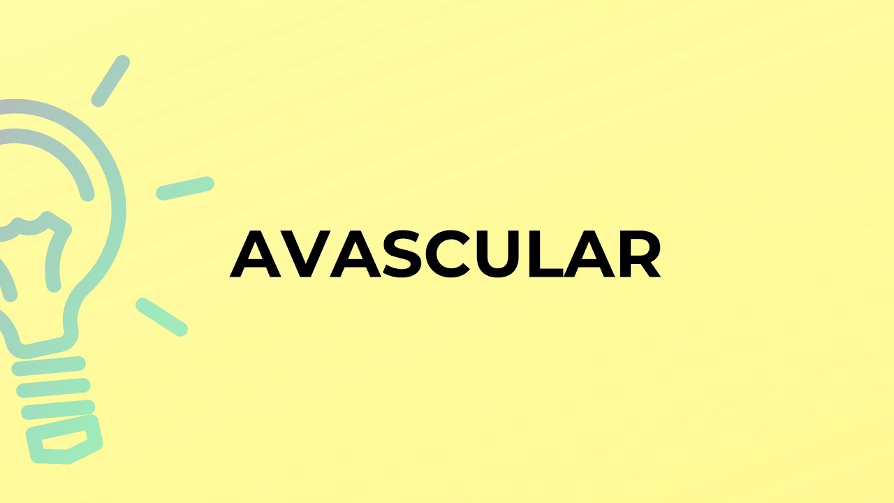 What is the meaning of the word AVASCULAR? YouTube