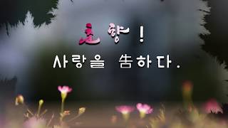 호텔 춘향 | 한뜰 신미경 (한뜰 신미경)
