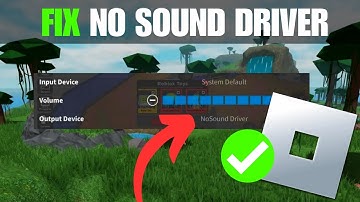 How To Fix Roblox No Sound Driver Error (Windows 11)