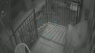 Footage of Attempted Burglary in Boro Park