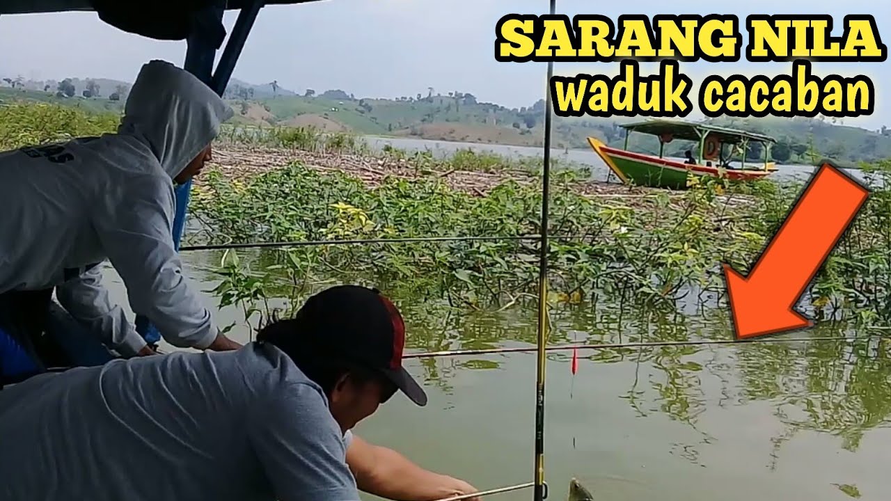 Mancing Di Waduk Cacaban Berasa Mancing Nila Di Kolam Strike Terussssss Youtube