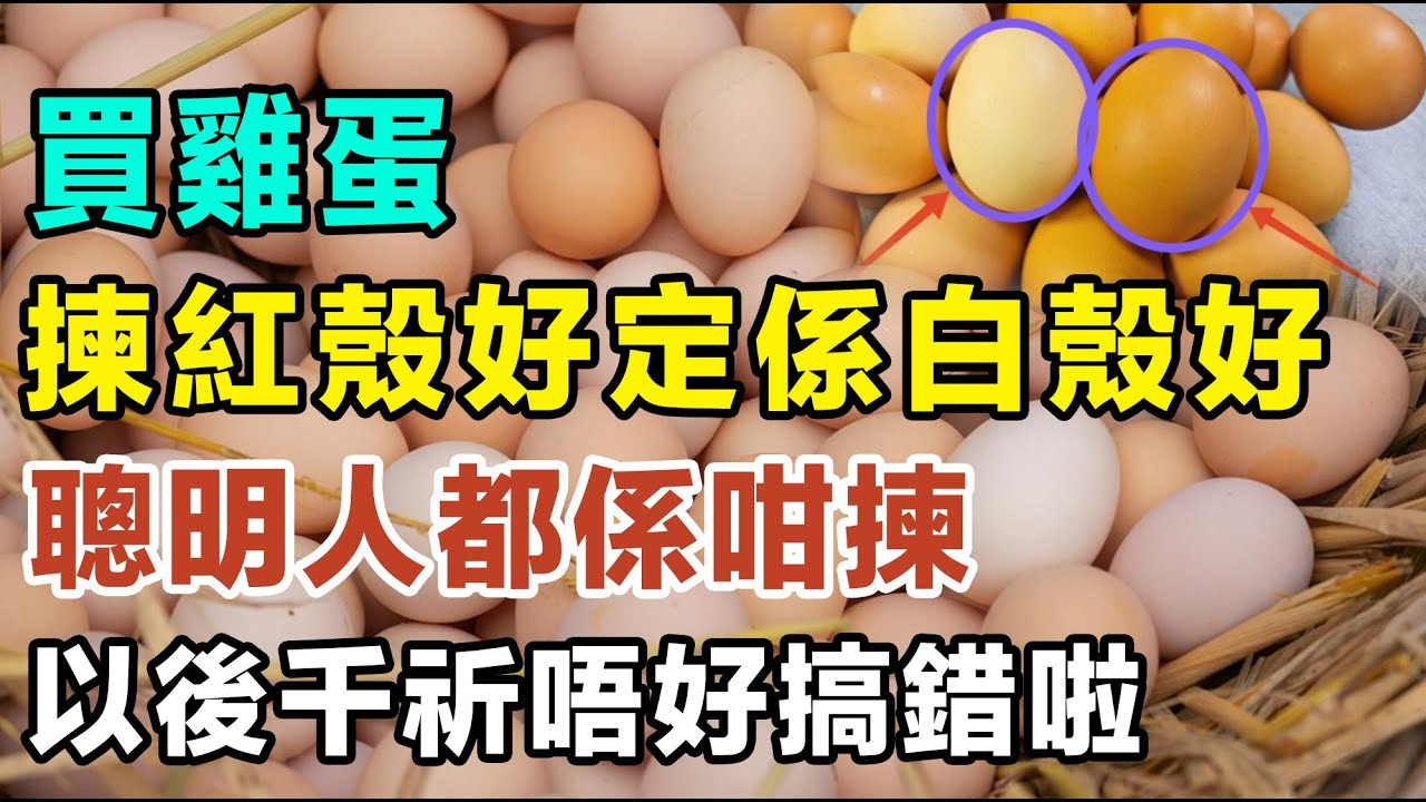 買雞蛋嗰陣，到底揀紅殼好定係白殼好，邊種更加有營養？聰明人都係咁揀，以後千祈唔好搞錯啦！ #健康你要知 #養生唔好中伏 #食物真相揭秘 #廚房智慧 #飲食要清淡 #食得健康 #你唔知的營養知識