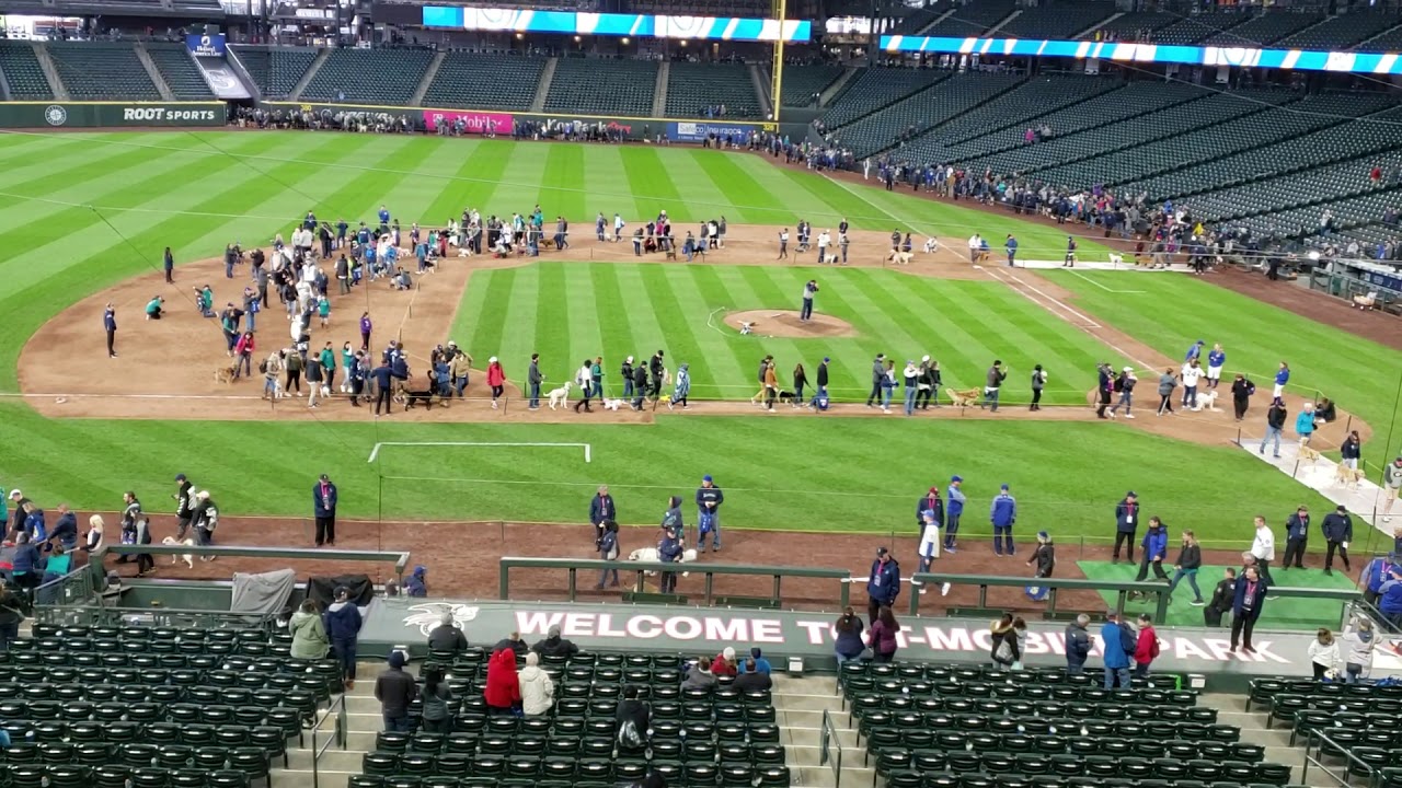 April 2019 Seattle Mariners Bark in the Park YouTube