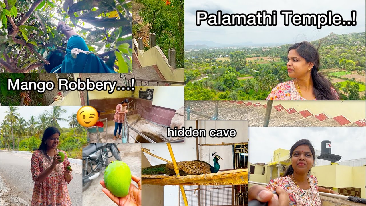 Palamathi hills🏔️- Vellore / visiting hidden cave / Best View point at Palamathi hills / Mango 🥭