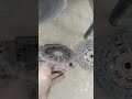 Suzuki mehran clutch replacement