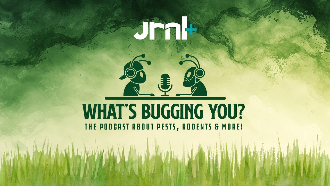 How Climate Change Is Shaping Pest Season