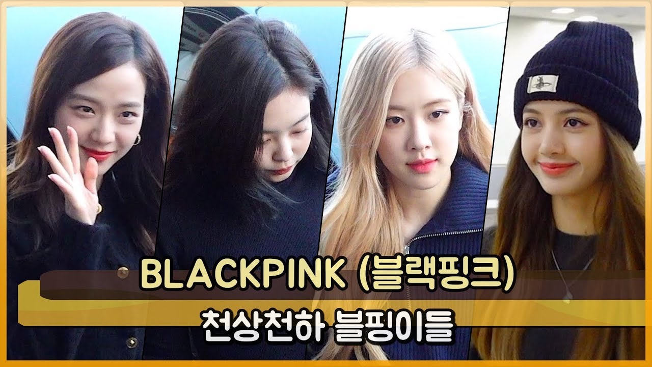 BLACKPINK(블랙핑크) 천상천하 블핑이들 [WD영상]