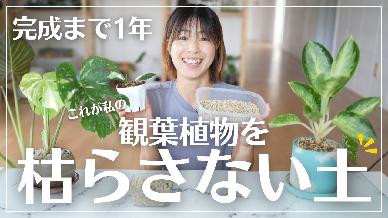観葉植物のお手入れ（土追加） maxresdefault.jpg