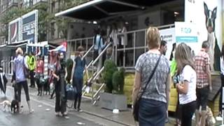 Street Scene from Woofstock 2012