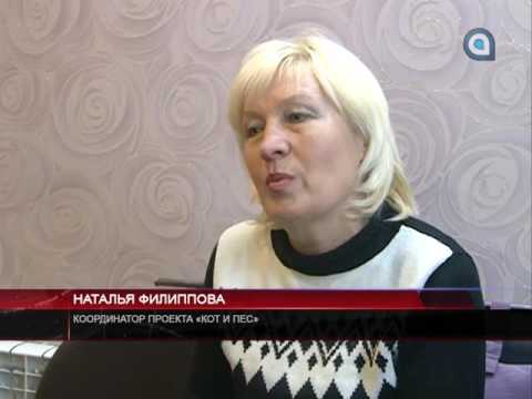 Под счастливой звездой