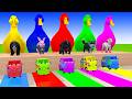 Long Slide Game With Cow Elephant Gorilla Hippopotamus Tiger 3d Animal Game Funny 3d Animals