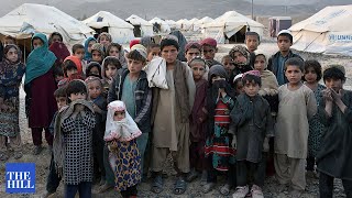 ‘We Made Good On Our Commitment To Afghans’: Says State Department Spokesperson Price