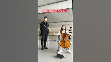 Thumbnail of What 20 years of cello looks like #shorts