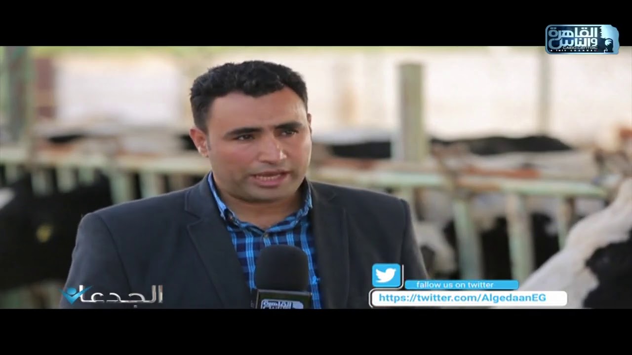 د.محمد بكر: نستخدم داخل شركة الوطنية مركبات لرفع المناعة ومضادات السموم الكيميائية في صناعة الأعلاف